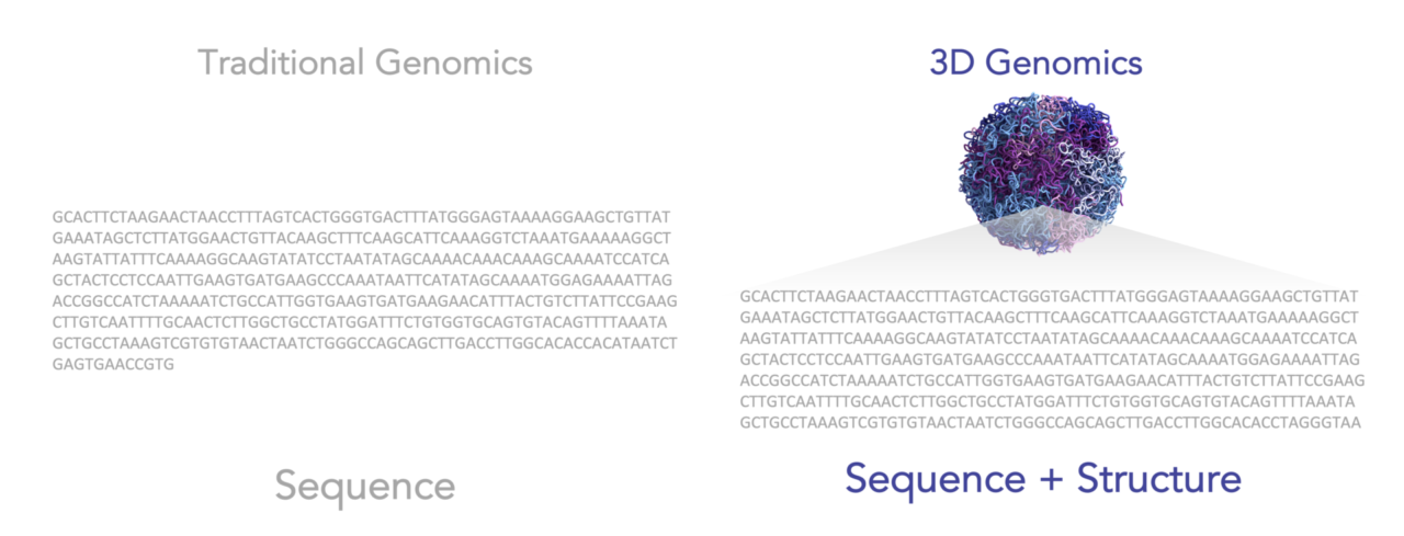 Hi-C Sequencing Technology – Arima Genomics