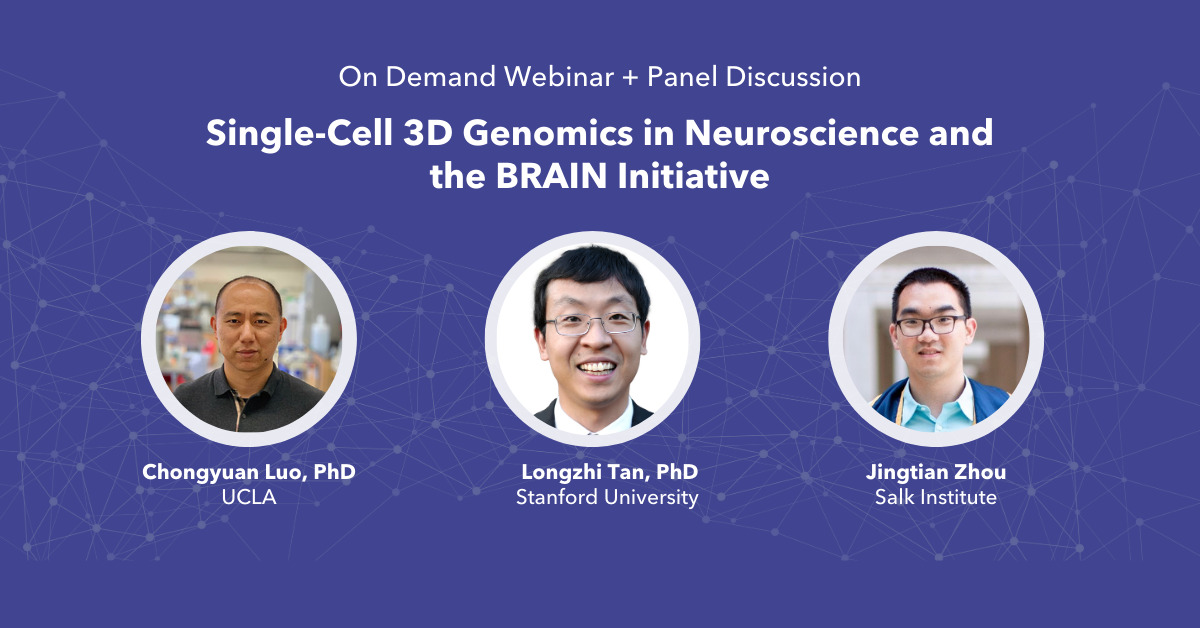 Single Cell 3d Genomics In Neuroscience And The Brain Initiative Single Cell 3d Genomics In Neuroscience And The Brain Initiative