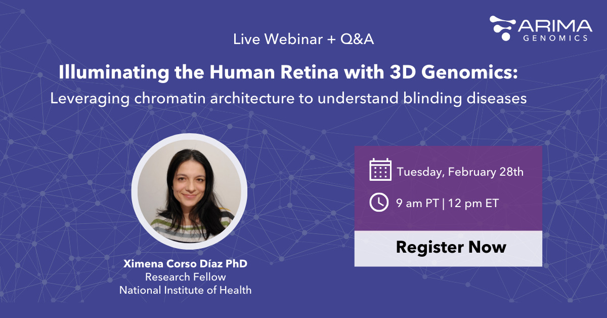 Illuminating The Human Retina With 3d Genomics Arima Genomics 8113