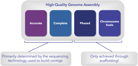 Defining A High-Quality Genome Assembly And How Hi-C Can Get You There ...