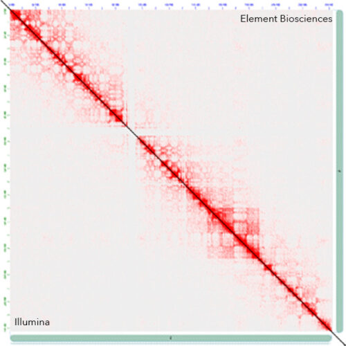 New Sequencing Option for Arima-HiC+ Samples: Evaluating the AVITI ...