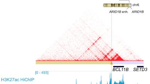 3D Cancer Genomics – Redefine Cancer Research With 3D Genomics