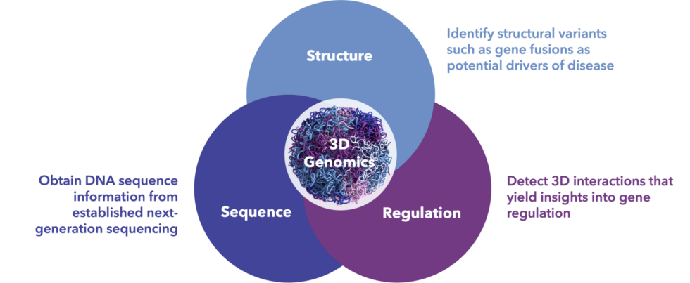 Happy DNA Day 2023! Celebrate With Us And Learn About 3D Genomics ...